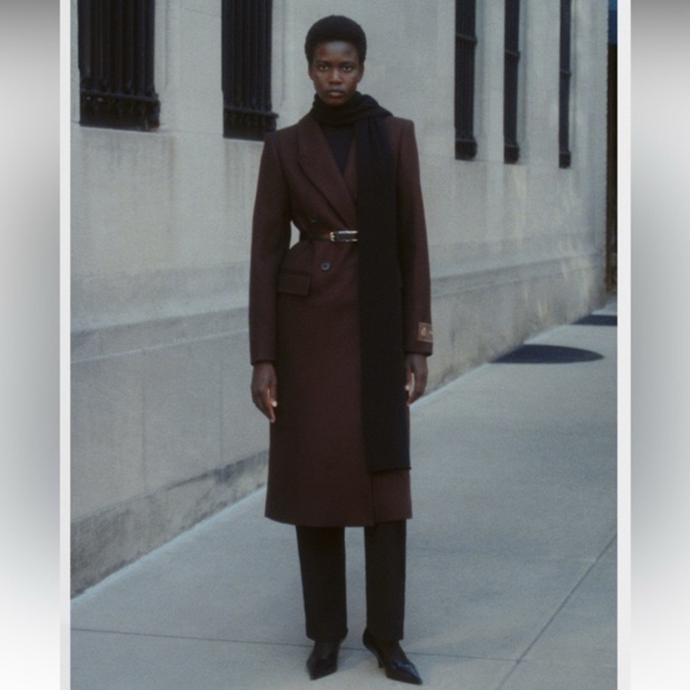 Virgin Wool Cashmere Aritzia Babaton The Constant Coat - Picture 5 of 12